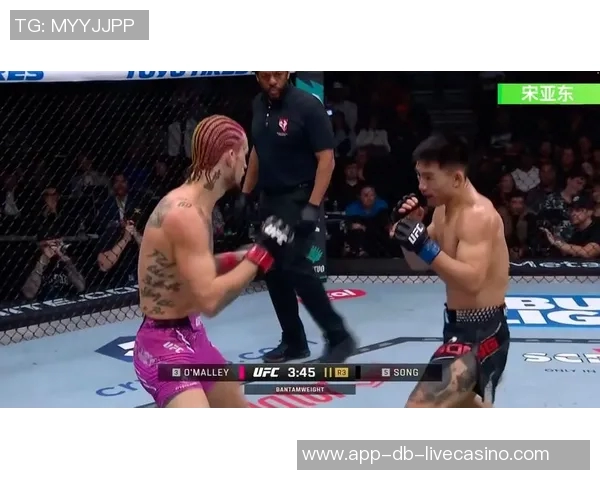 宋亚东对决强敌展现拳坛风采期待精彩比赛引发热议